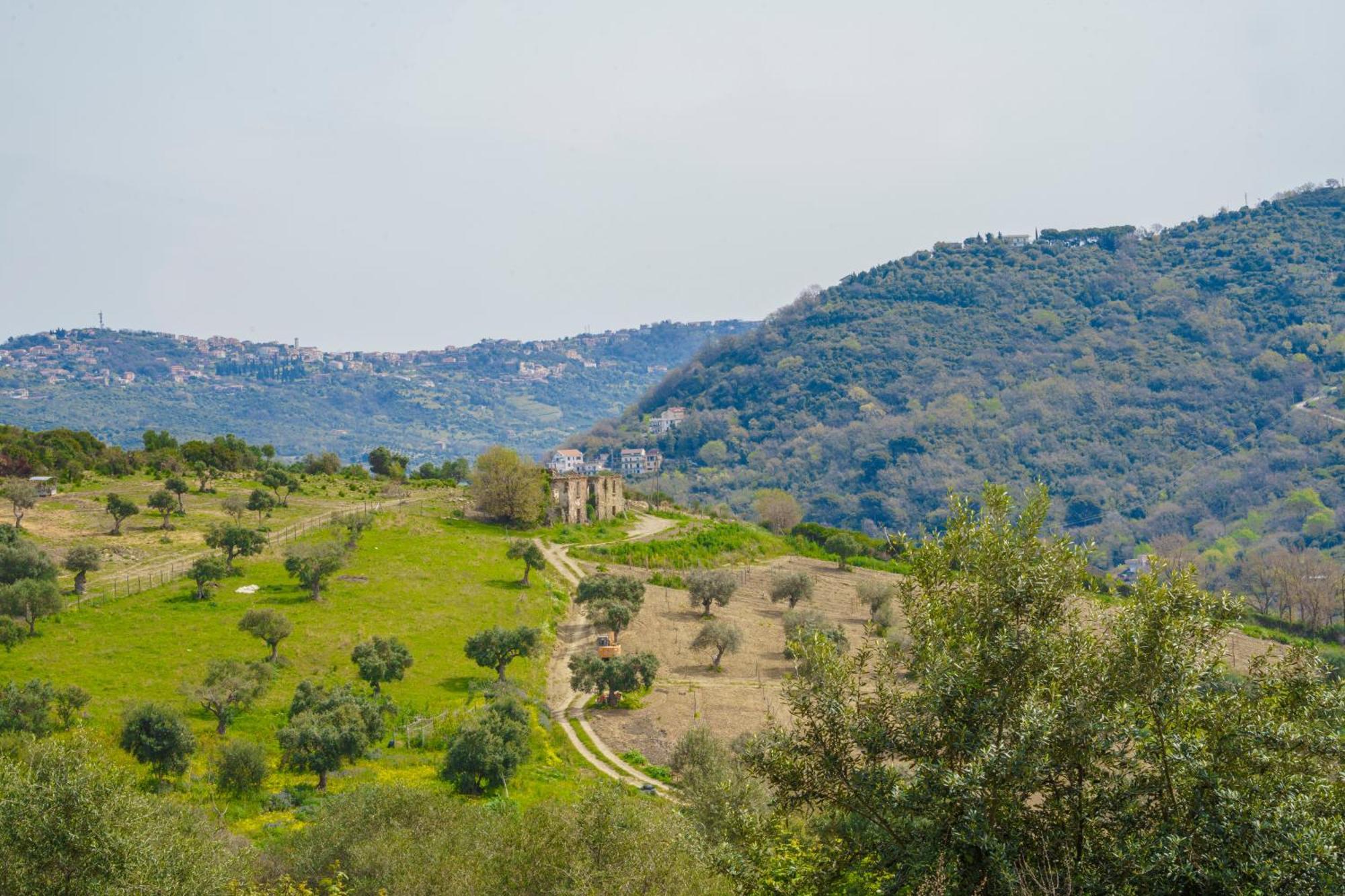 Aparthotel Il Panorama Housing Cilento à Santa Maria di Castellabate Extérieur photo